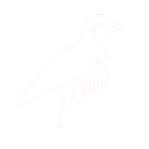 RepStack